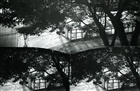 dailyPhoto33